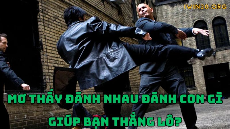 Luận giải mơ thấy đánh nhau đánh con gì trúng lớn?